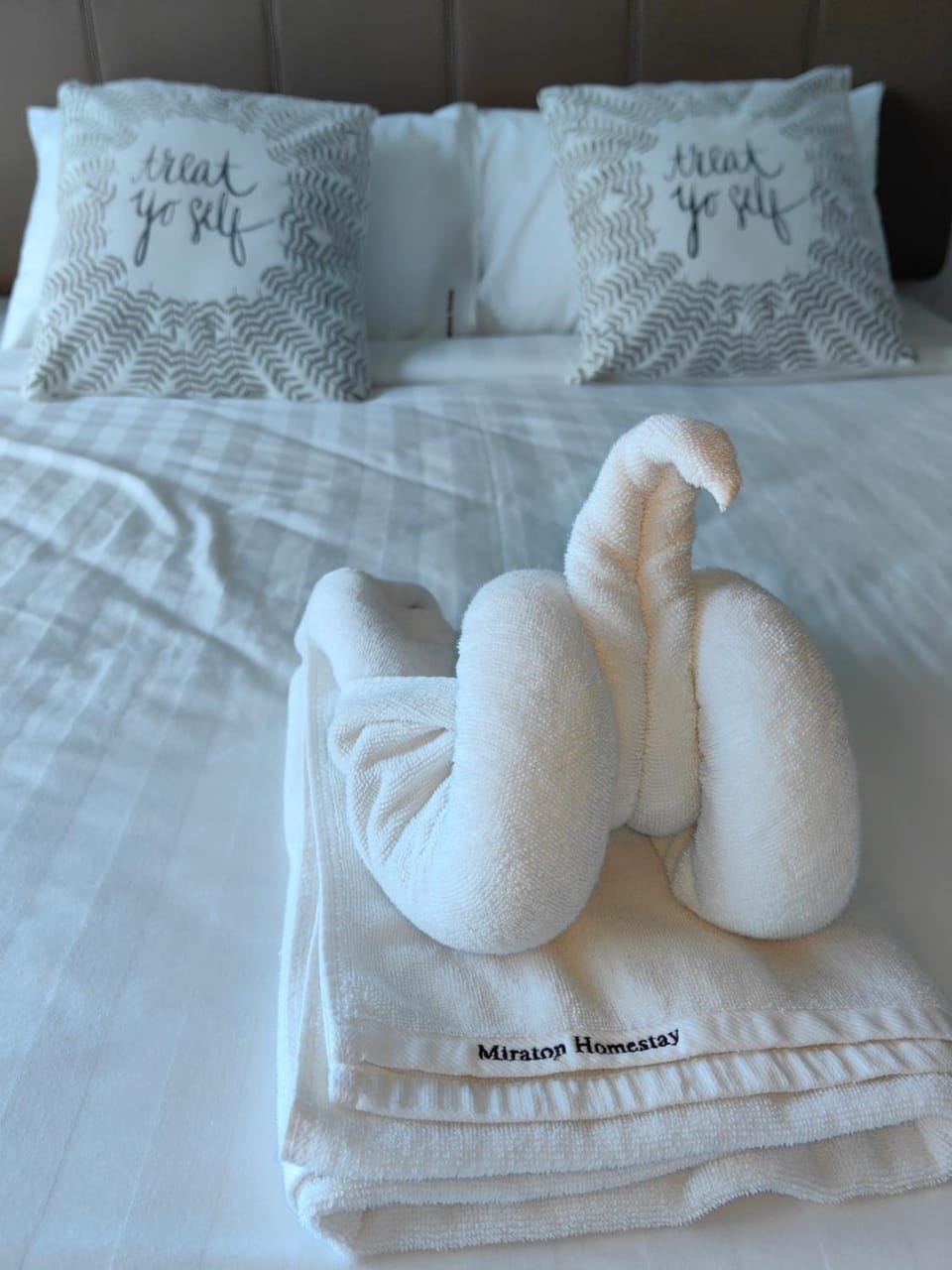 Bed, towels