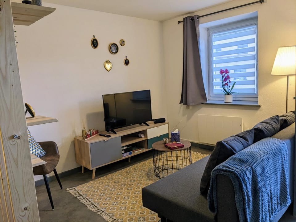 TV and multimedia, Living room