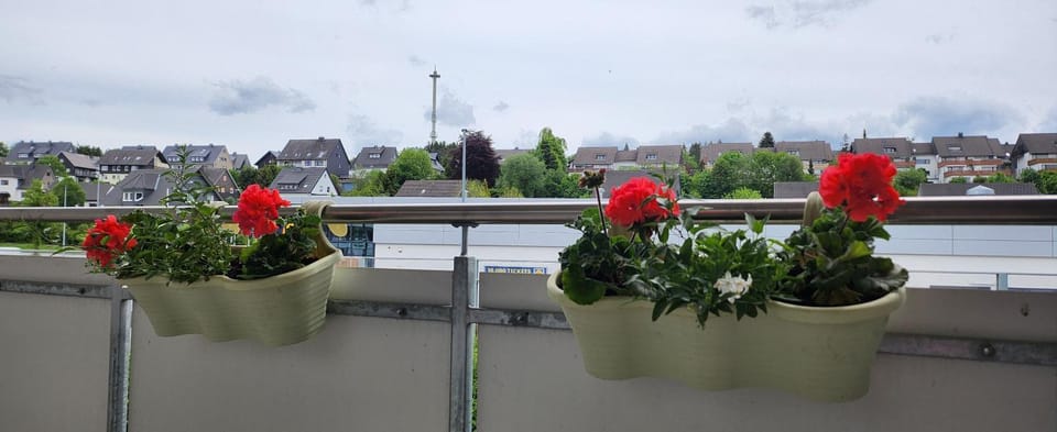 Apartment Tina Apartment in Winterberg