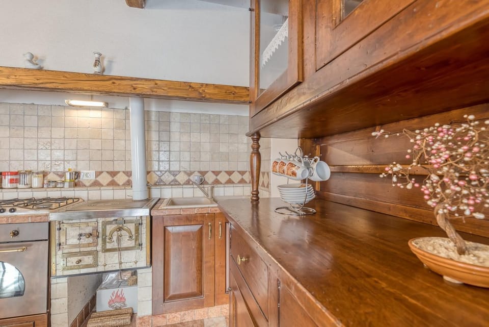 Kitchen or kitchenette, Decorative detail, pet friendly, kitchen