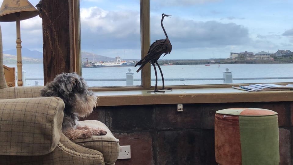 Natural landscape, Living room, Pets, Sea view