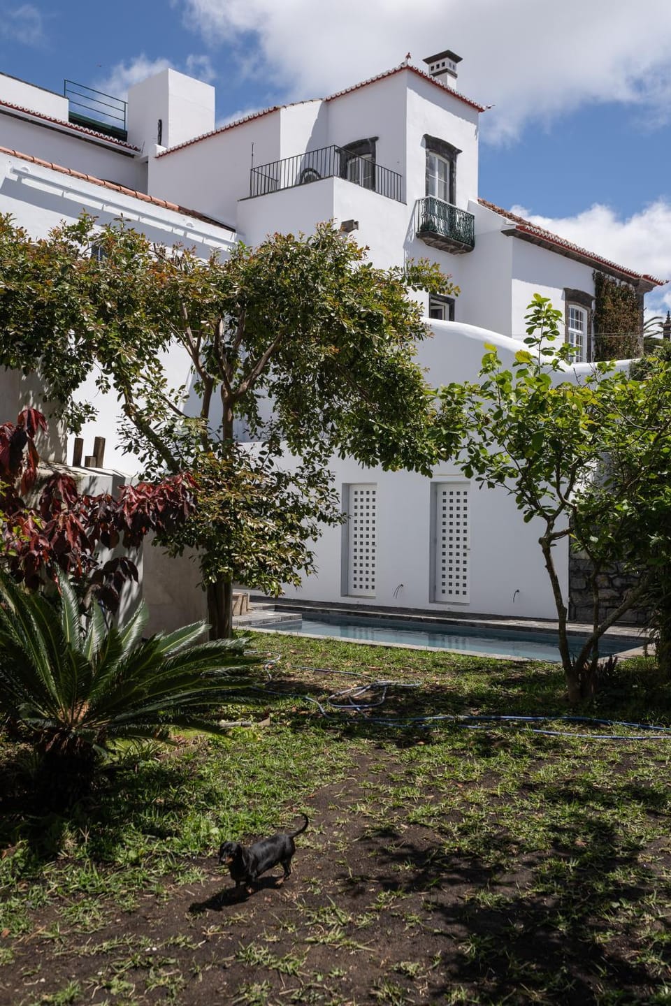 Property building, Garden, Garden, Garden view