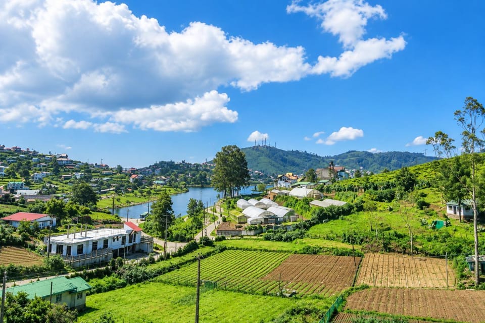Natural landscape, View (from property/room), Lake view