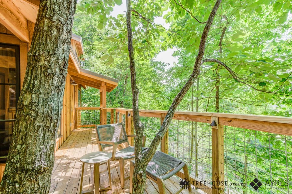 Patio, Spring, Day, Natural landscape, View (from property/room), Balcony/Terrace
