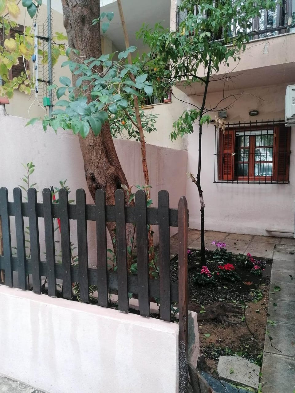 Garden, Garden, Garden view