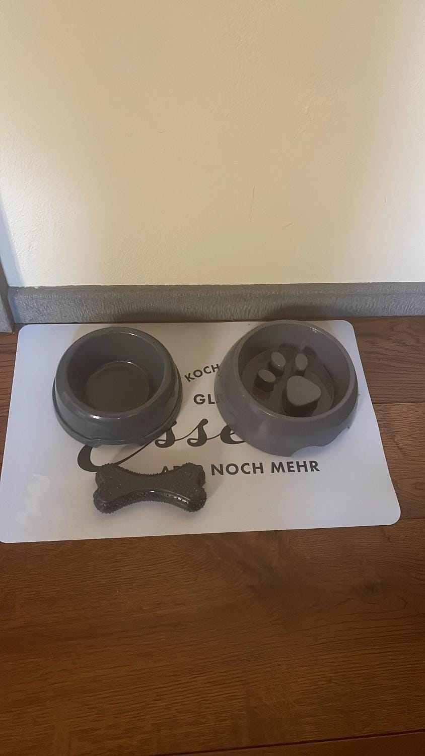 pet friendly