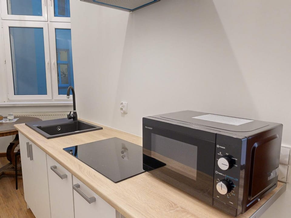 Kitchen or kitchenette, minibar, pet friendly, stove