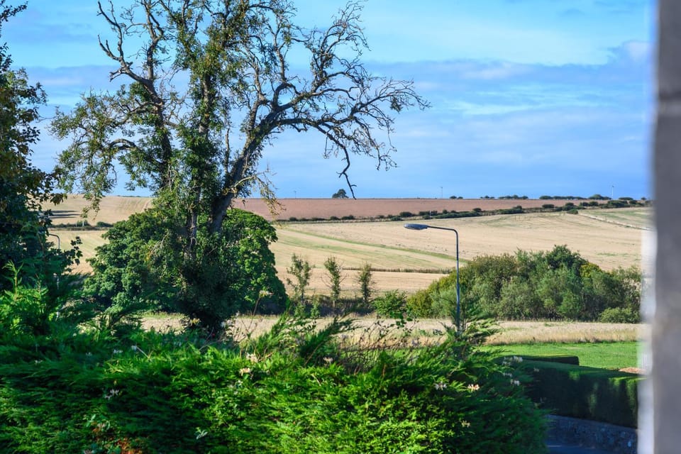 Day, Natural landscape