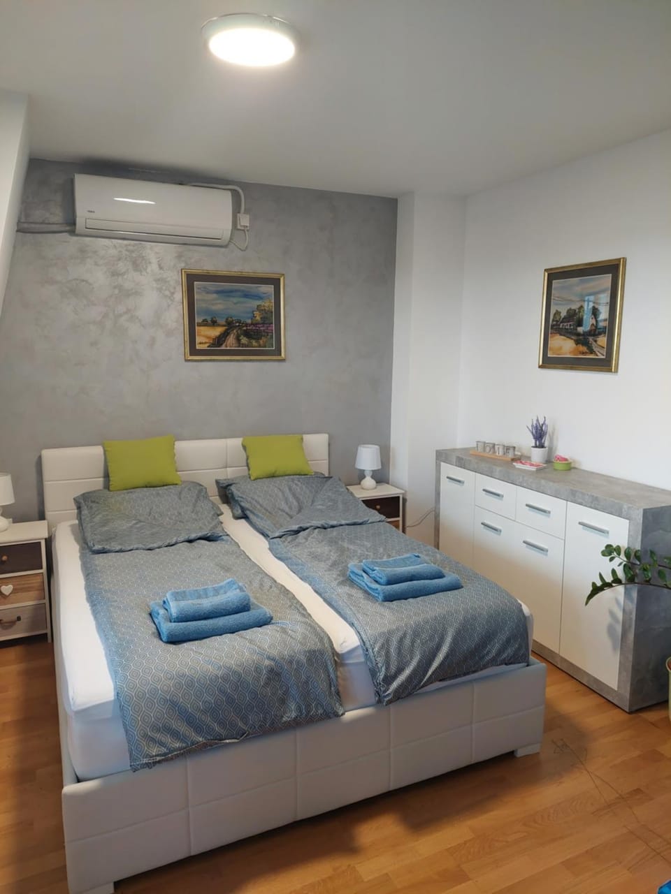 Green and grey Apartment in Novi Sad