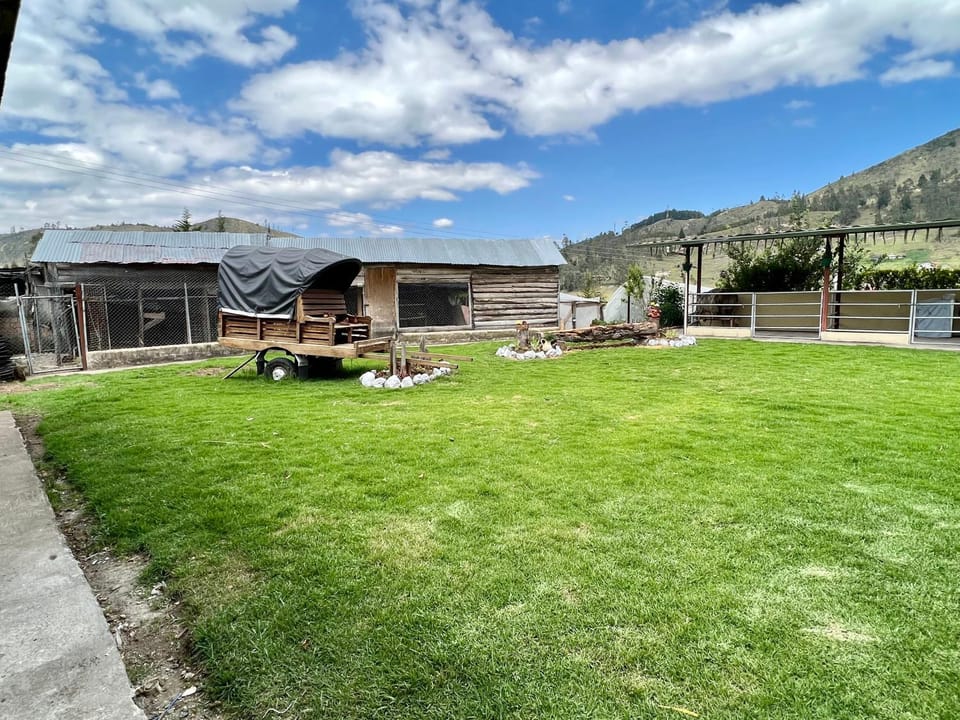 Garden, Animals, Garden view, Mountain view