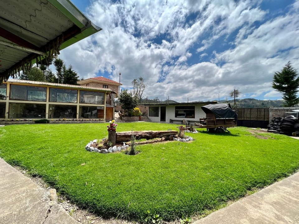 Patio, Garden, Animals, Garden view