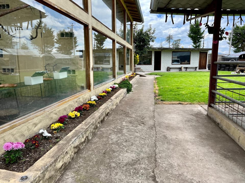 Garden, Garden view