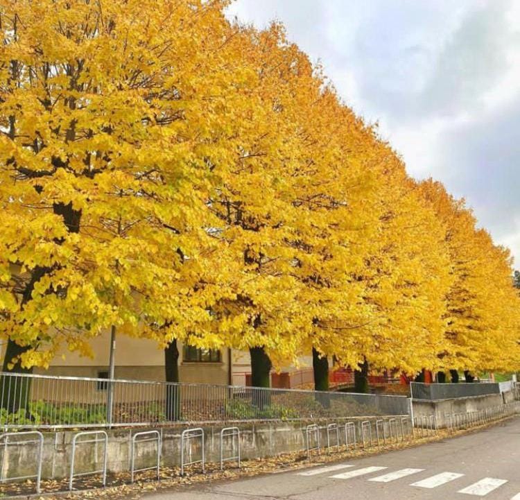 Nearby landmark, Day, Natural landscape