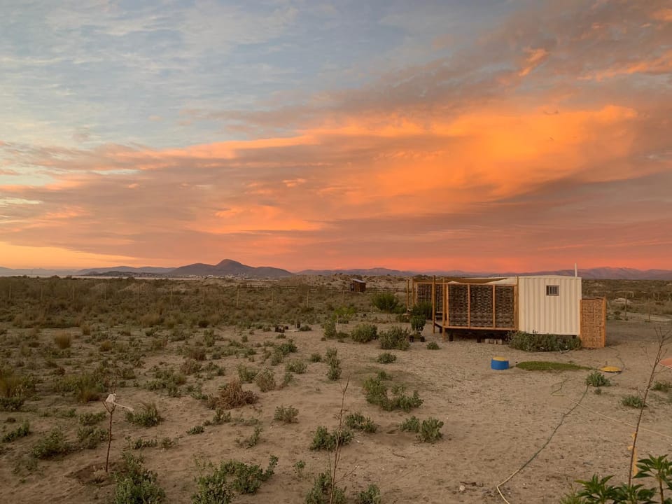 Cabañas ecológicas Tongoy House in Coquimbo Region