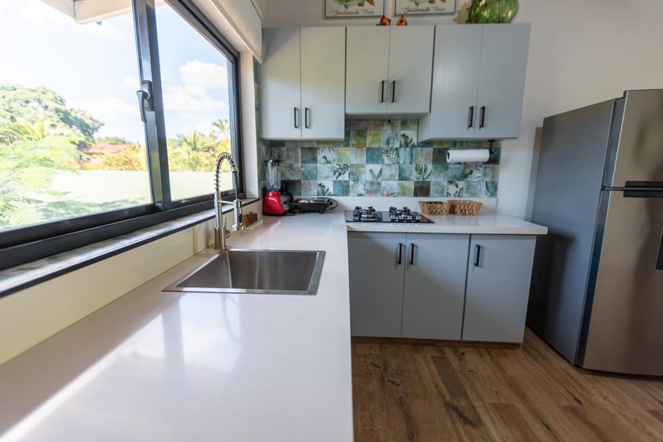 Kitchen or kitchenette, kitchen