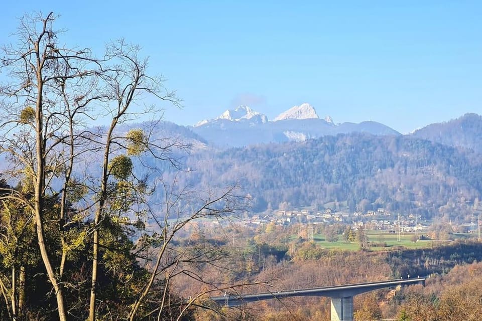 Apartma Juli Apartment in Carinthia, Austria