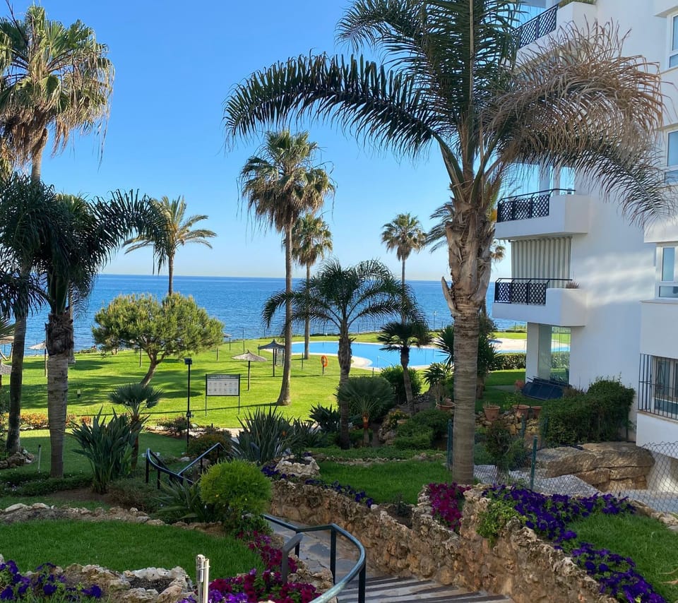 Garden, Garden view, Swimming pool, Swimming pool