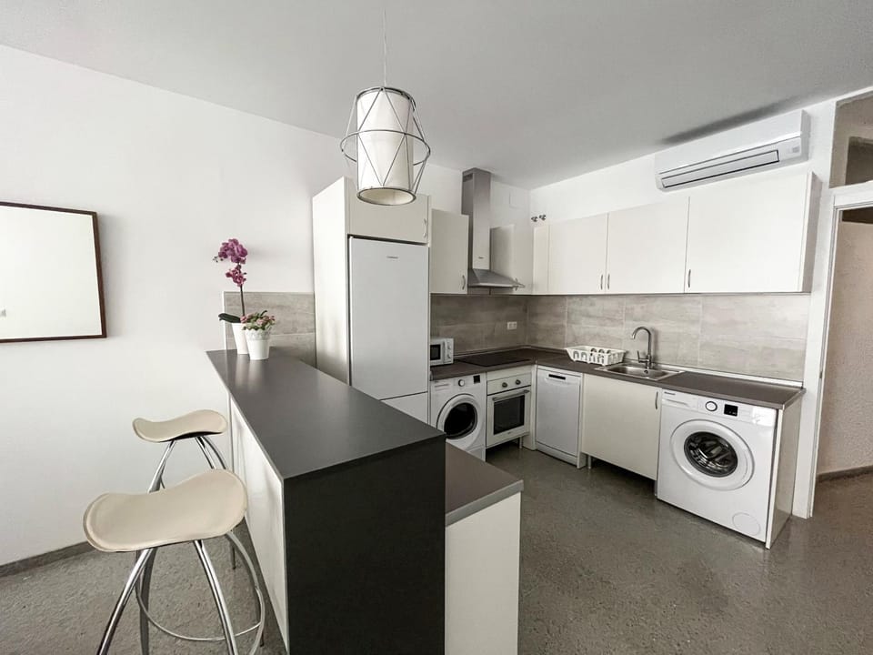 Kitchen or kitchenette, minibar, pet friendly, washing machine, dryer