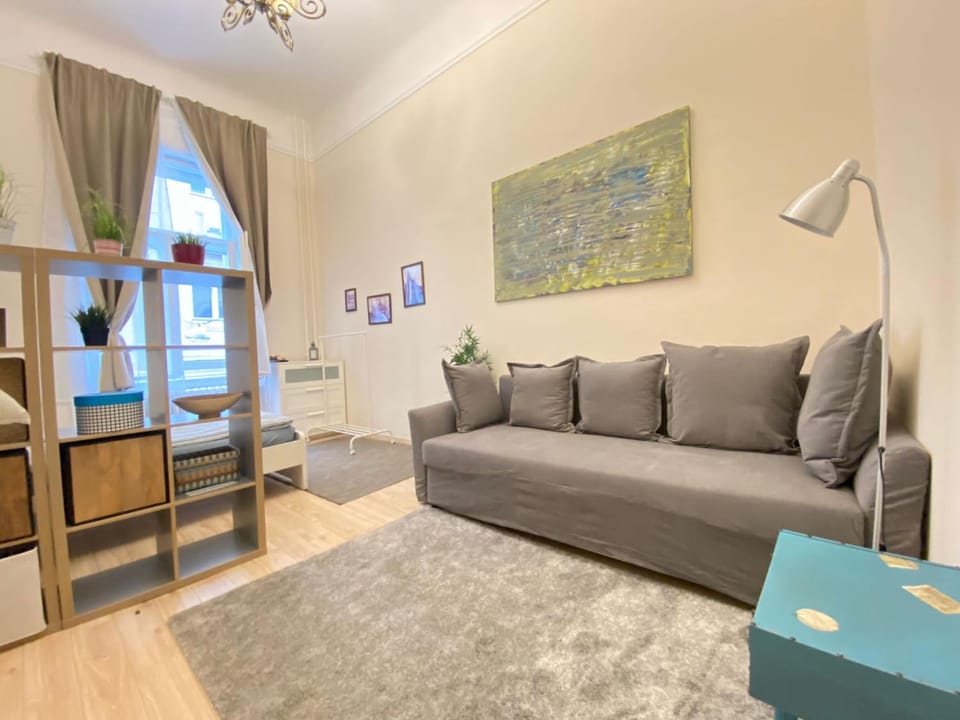 Wesseleny Apartment near Synagogue with AC AFTER RENOVATION Apartment in Budapest
