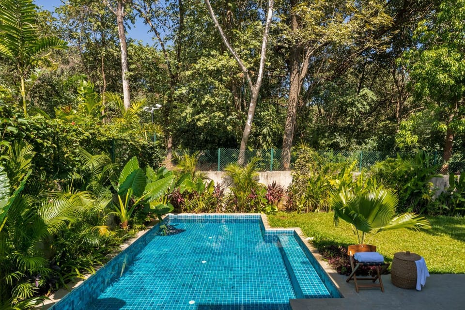 Swimming pool, Swimming pool