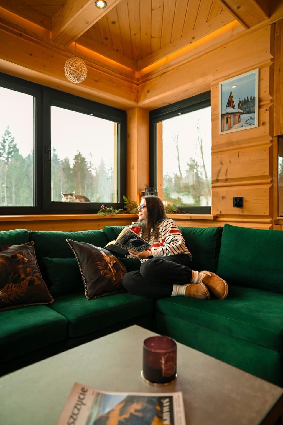 People, Living room, Seating area, Animals, Animals, Animals, Pets, Pets, Pets, pet friendly, pet friendly