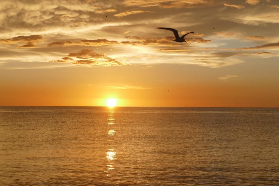 Charming 2 Bed South End Beachfront Condo at Popular Seawinds Apartment in Marco Island