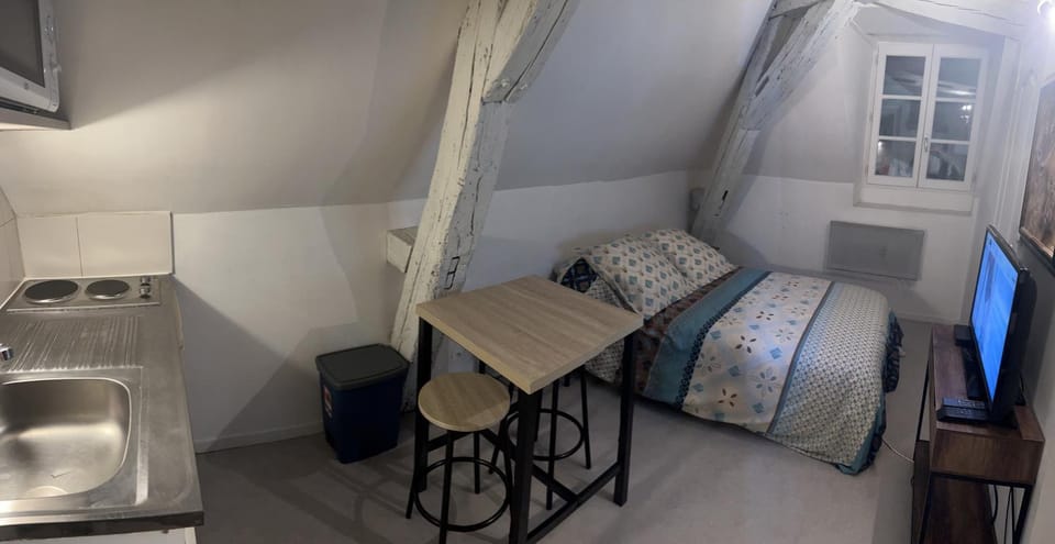 LE PACIFIC - Appartement spacieux centre ville Apartment in Orléans