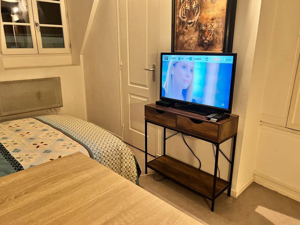 LE PACIFIC - Appartement spacieux centre ville Apartment in Orléans