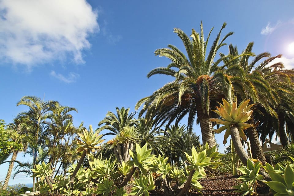 Day, Natural landscape, Garden, Garden, Garden view