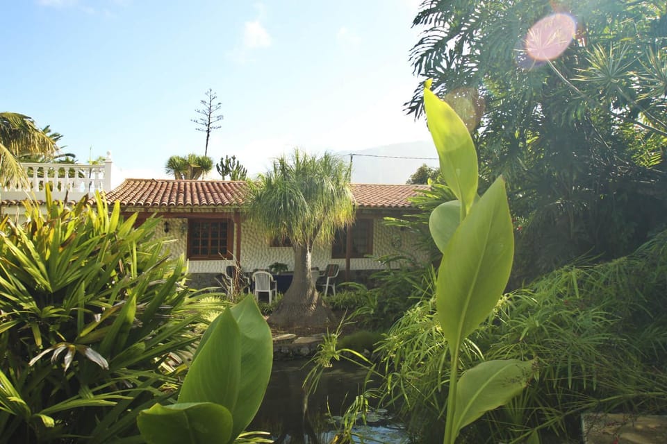 Property building, Day, Garden, Garden, Garden view