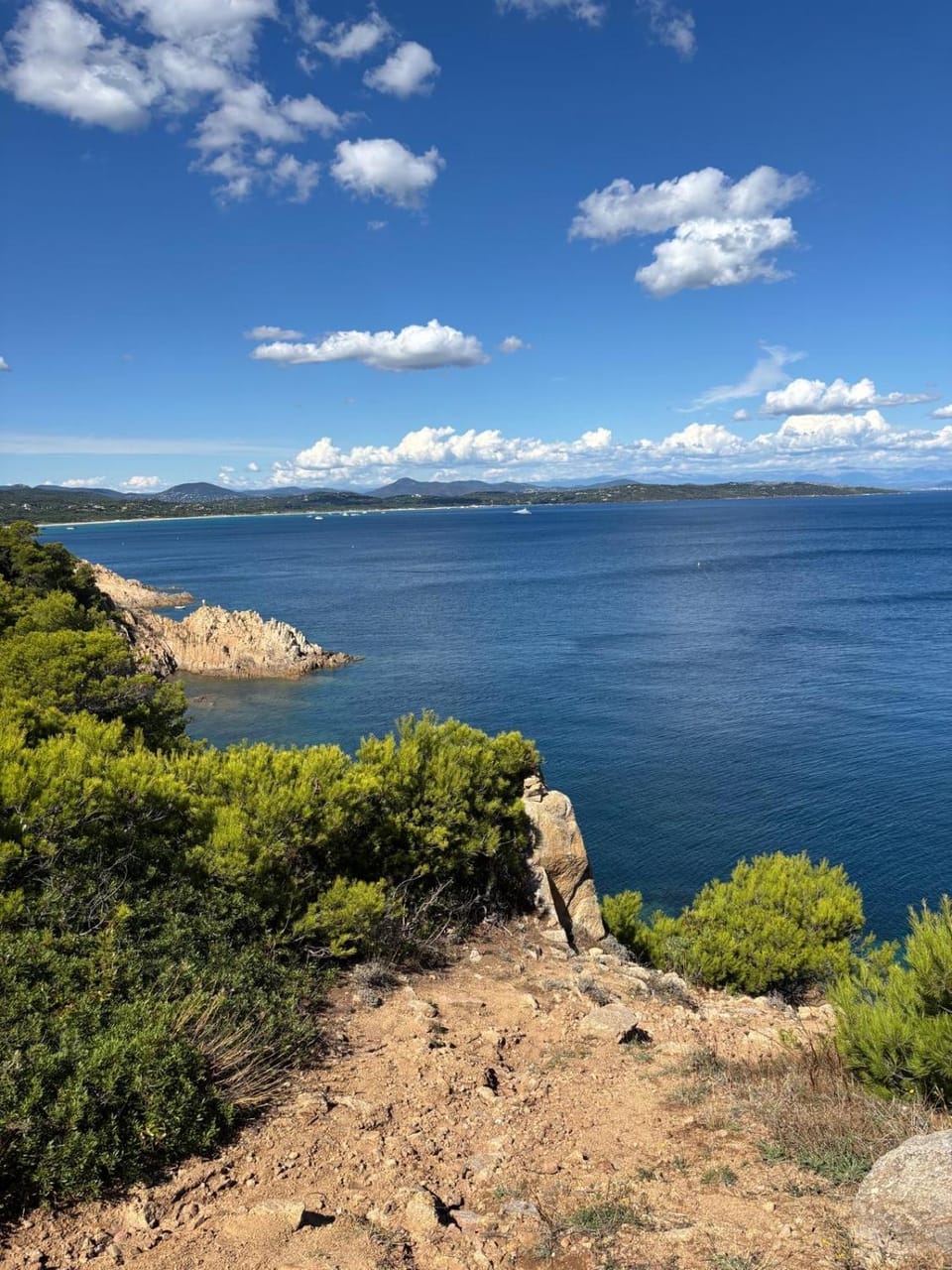 Le Mas de la Rose Bed and Breakfast in Lorgues