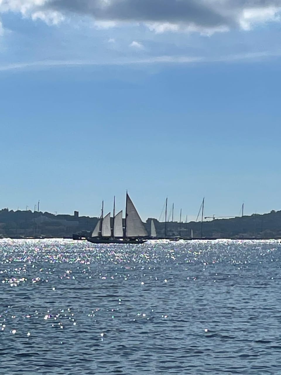 Le Mas de la Rose Bed and Breakfast in Lorgues