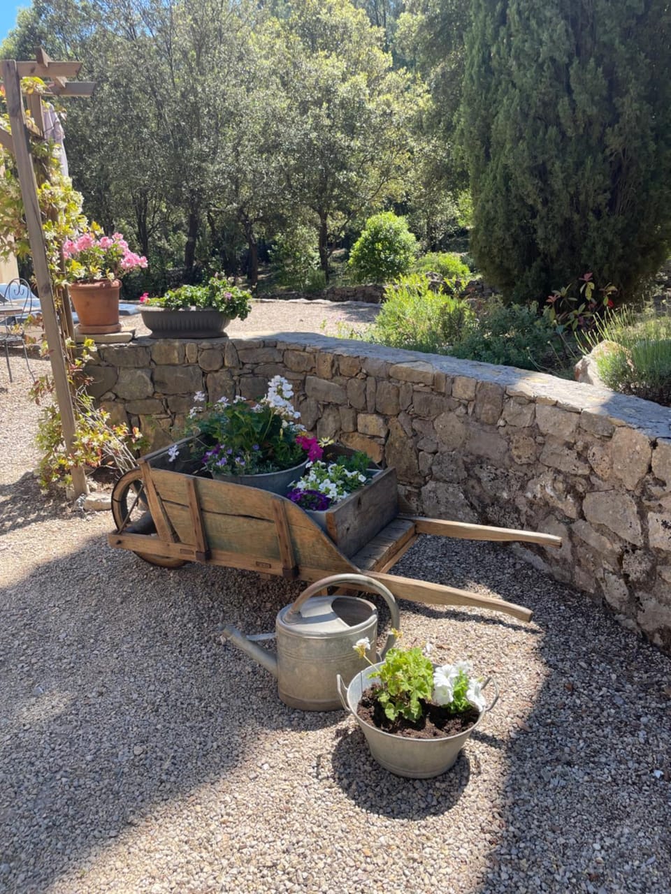 Le Mas de la Rose Bed and Breakfast in Lorgues