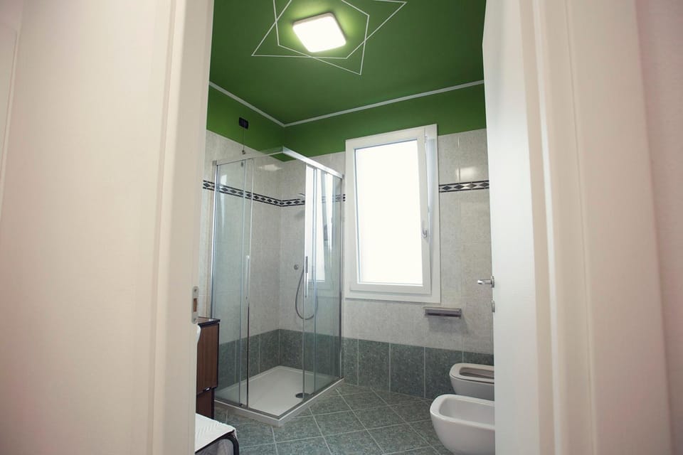 Shower, Toilet, Bathroom, bidet