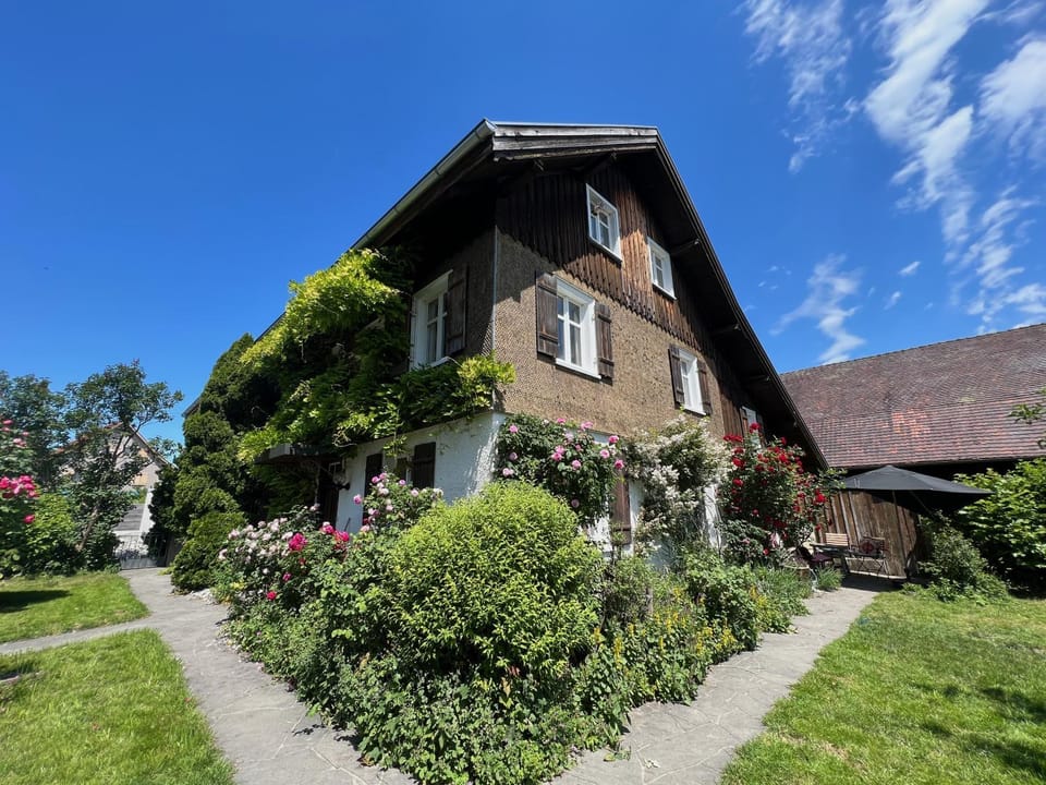Property building, Day, Garden view