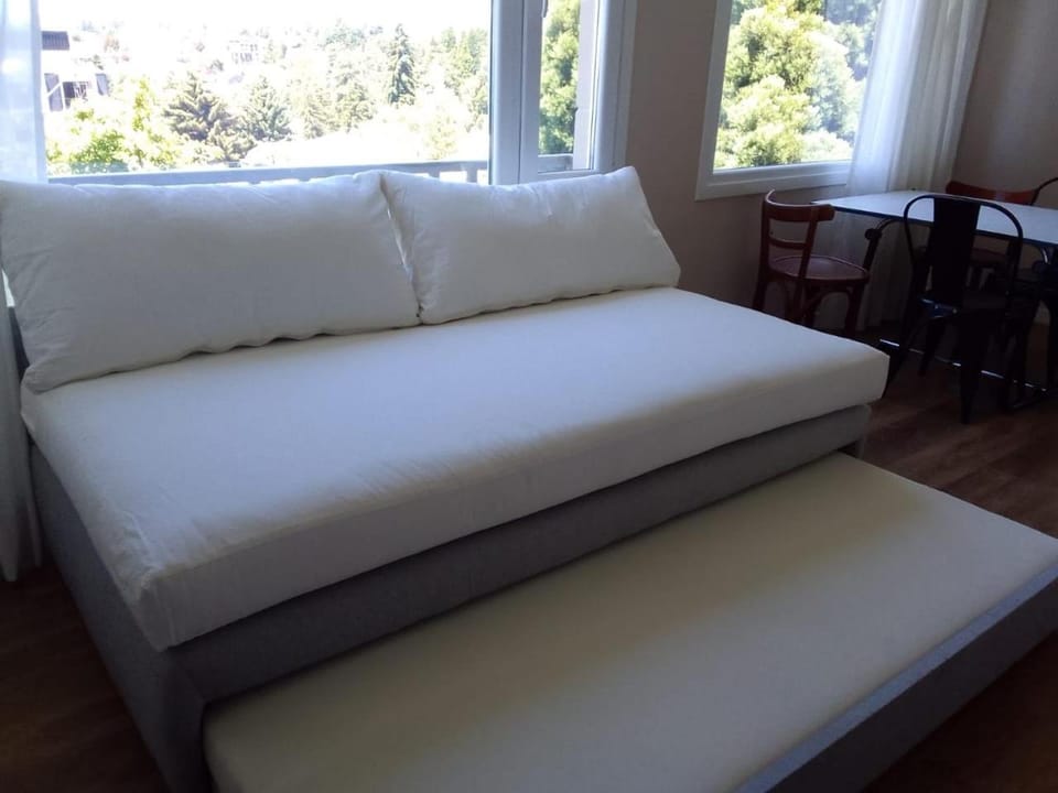 Departamento con vista Apartment in San Carlos Bariloche