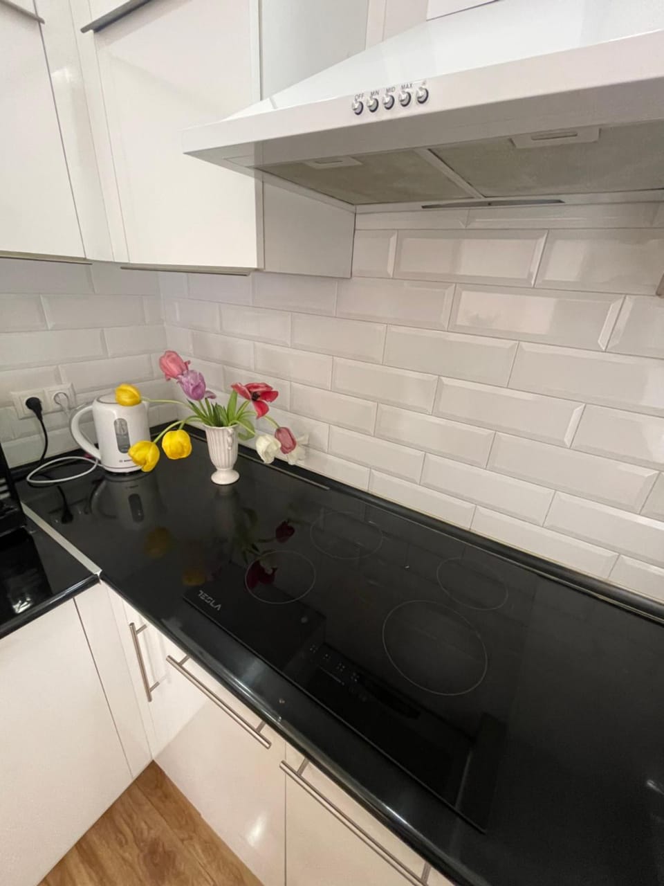 Kitchen or kitchenette, pet friendly, stove
