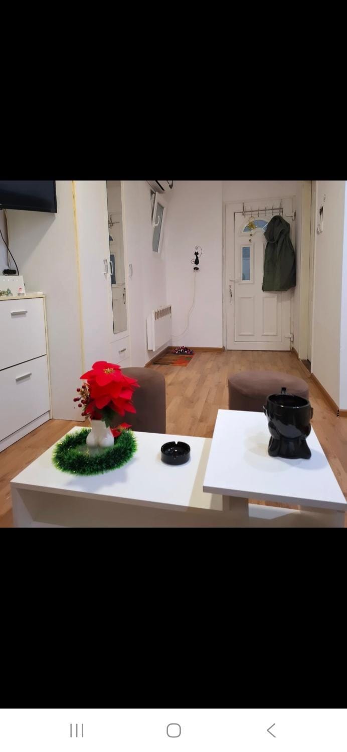 Mace MM :) Apartment in Vojvodina