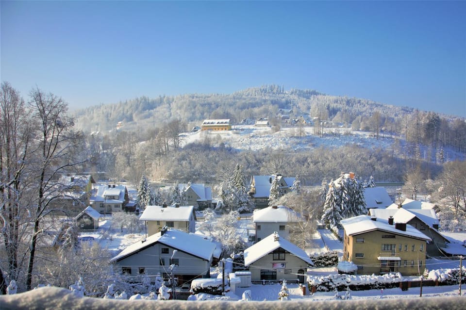 Winter, Mountain view