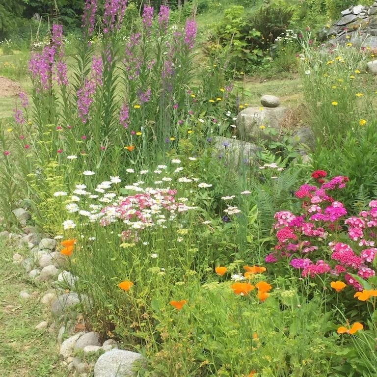 Spring, Garden, Garden view