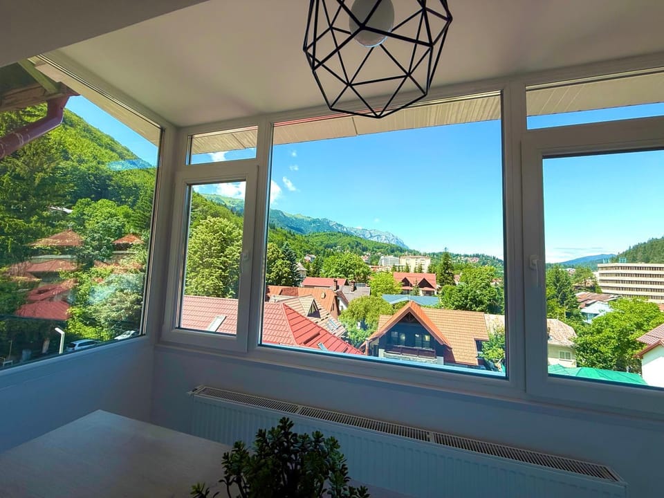 Mountain View Apartment in Sinaia