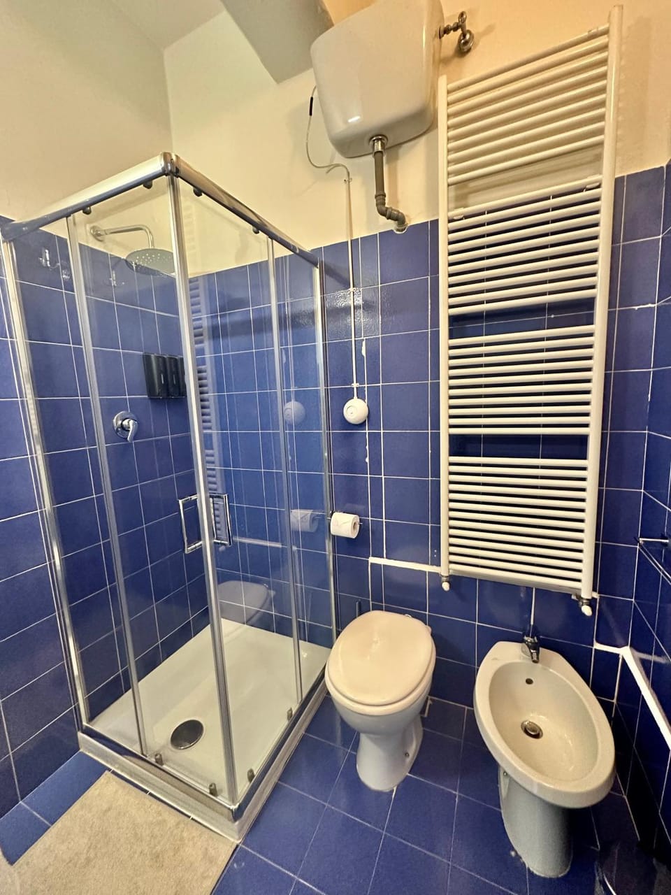Shower, Toilet, Bathroom, bidet