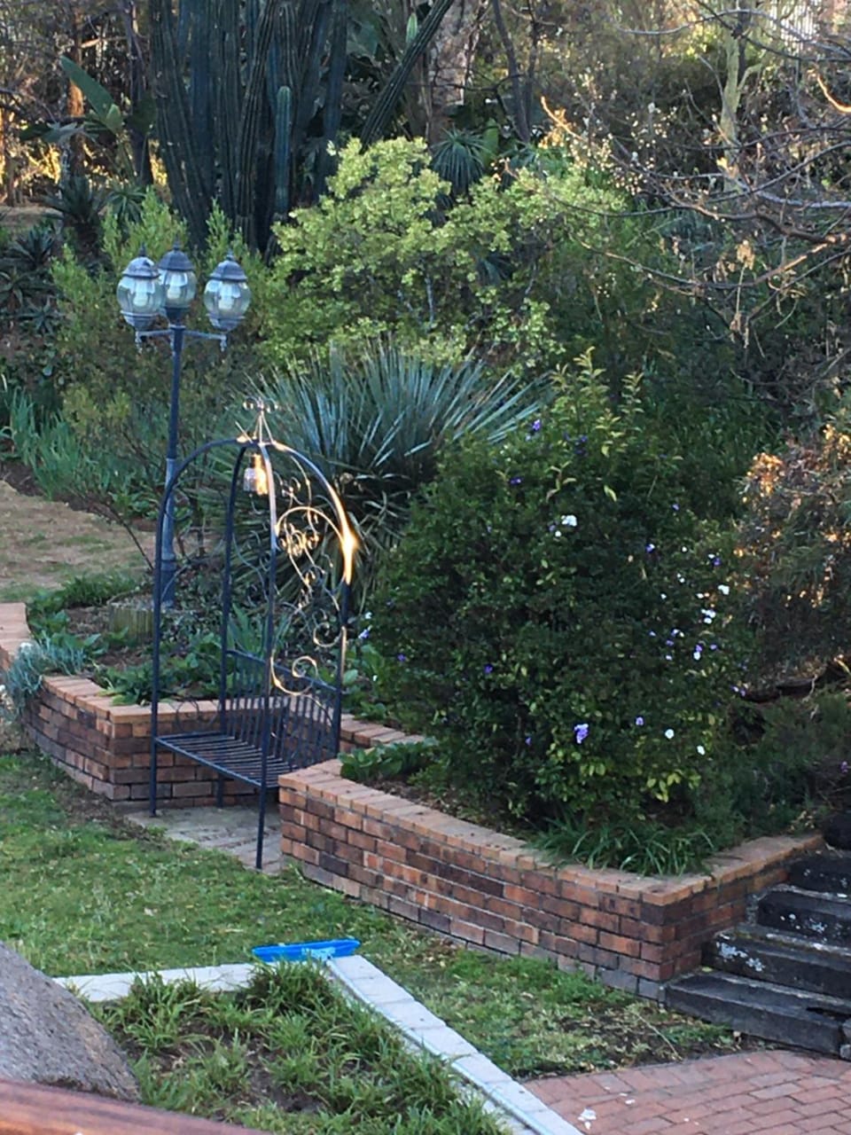 Garden view