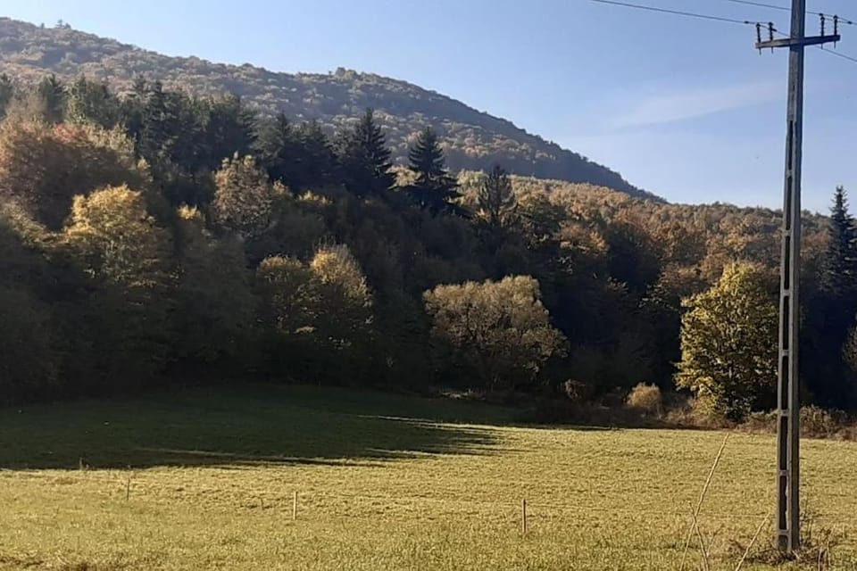 Natural landscape