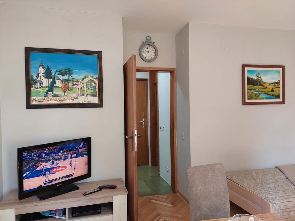 TV and multimedia