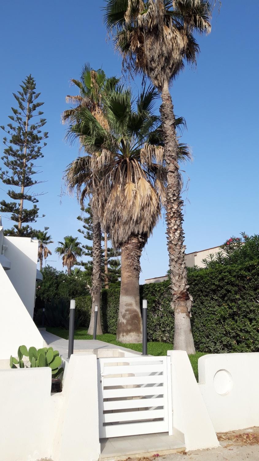 Garden, Garden view