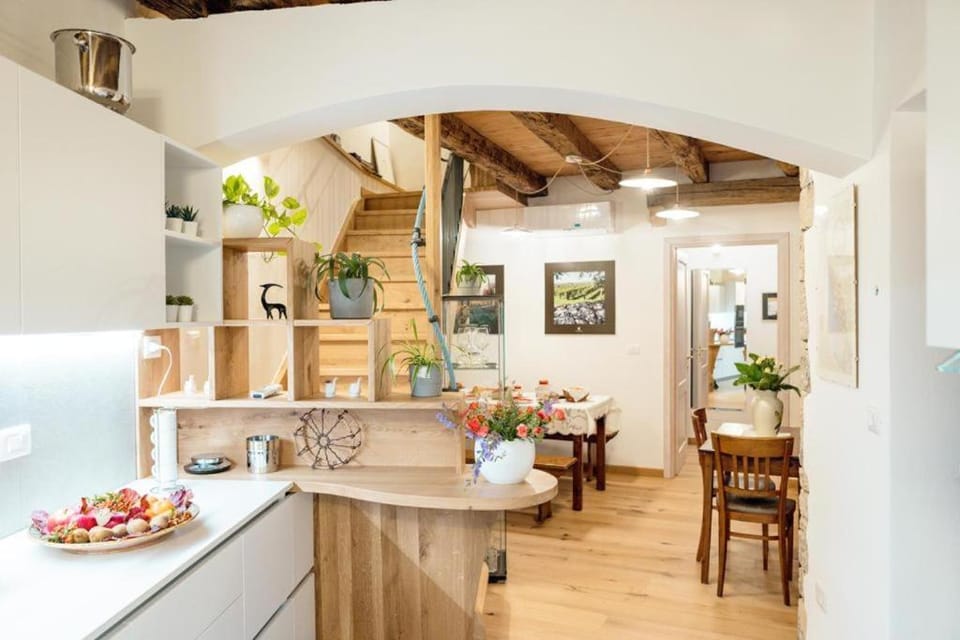 Home Dren House in Friuli-Venezia Giulia