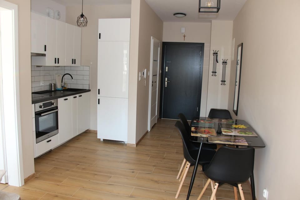 Kitchen or kitchenette, Photo of the whole room, Dining area, dishwasher, minibar, stove