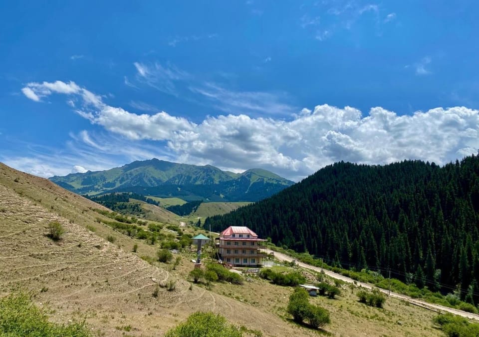 Mountain view