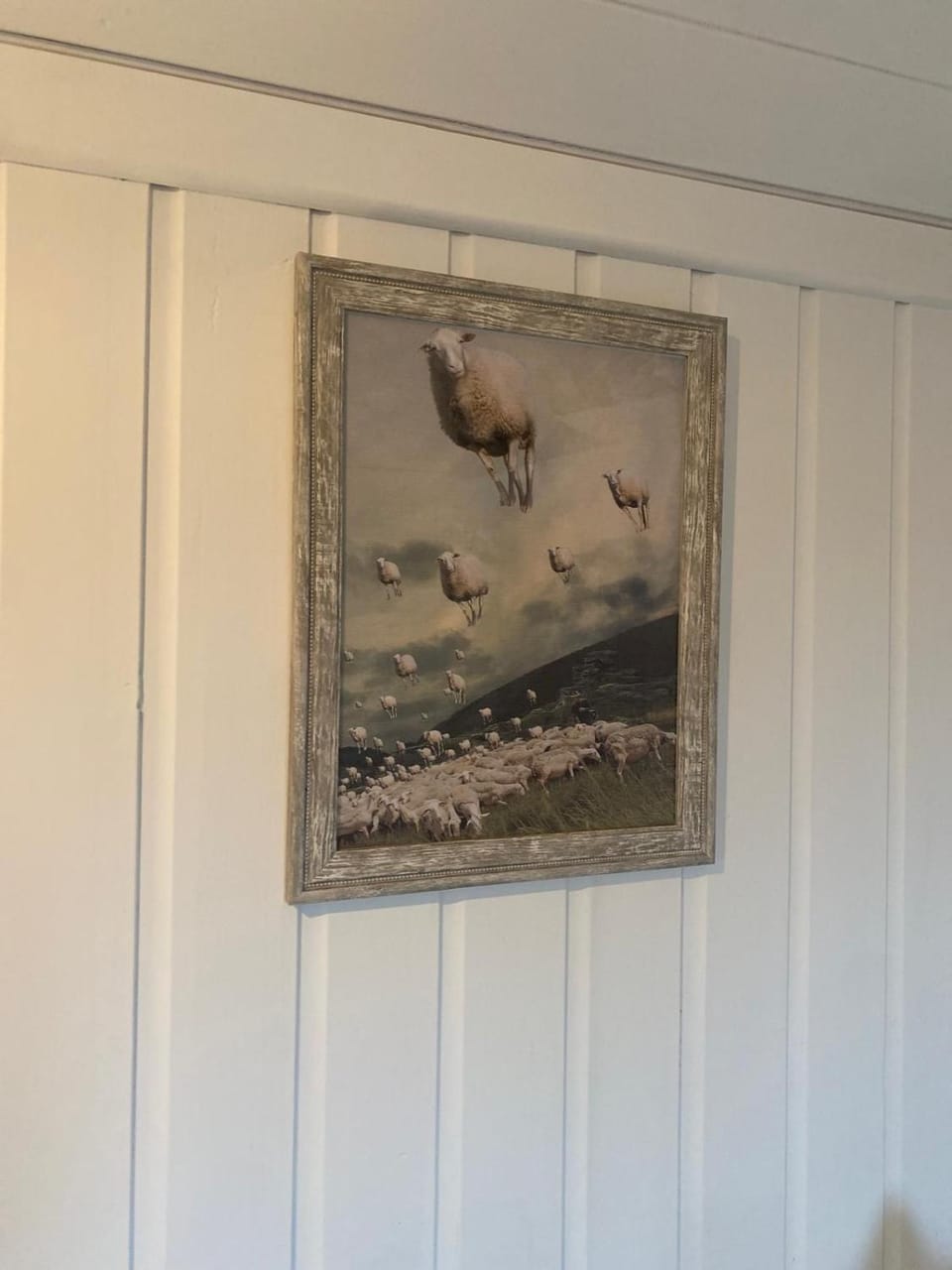 Crabmill glamping bewdley Campground/ 
RV Resort in Wyre Forest District